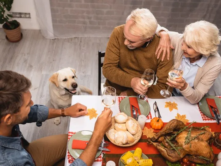 how not to give your dog pancreatitis this Thanksgiving