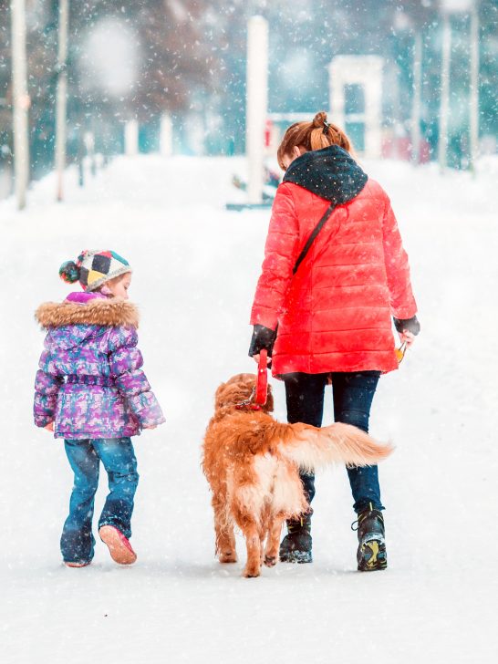 women walking dog in snow