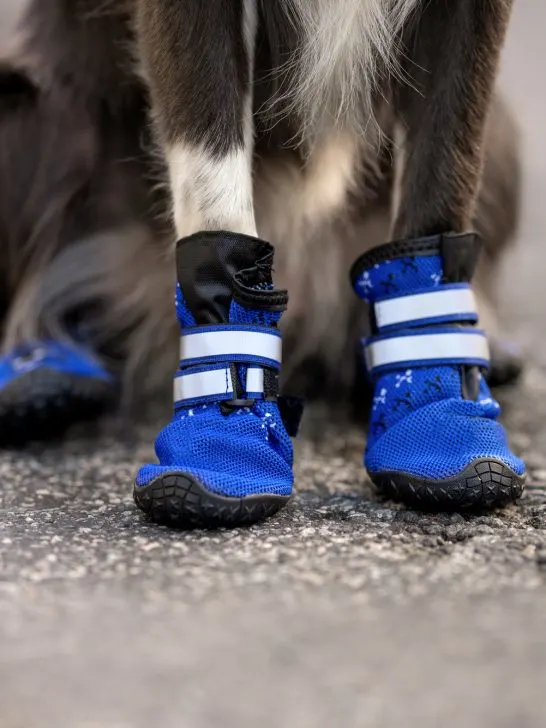 dog boots prevent snow and ice from sticking to a dog's paw
