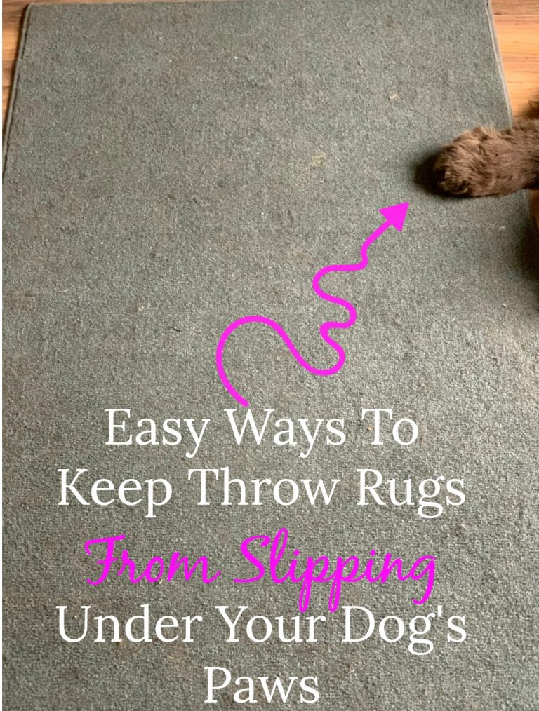 Easy Ways To Keep Throw Rugs From Slipping Under Your Dog's Paws My