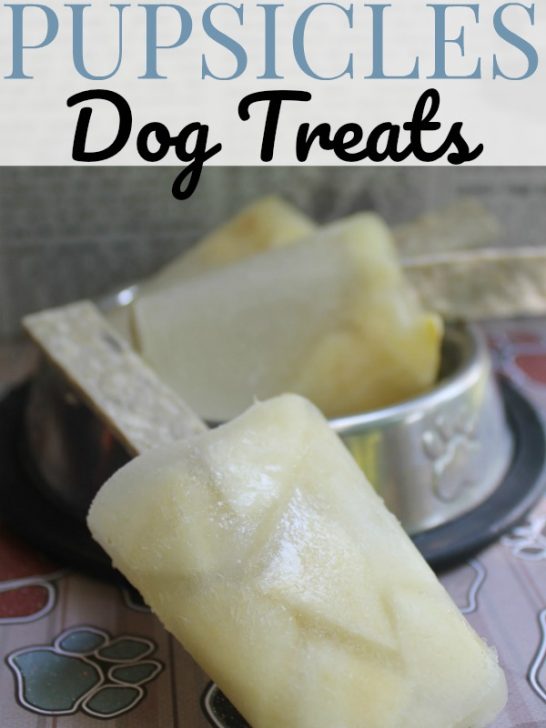 apple-and-chicken-pupsicles