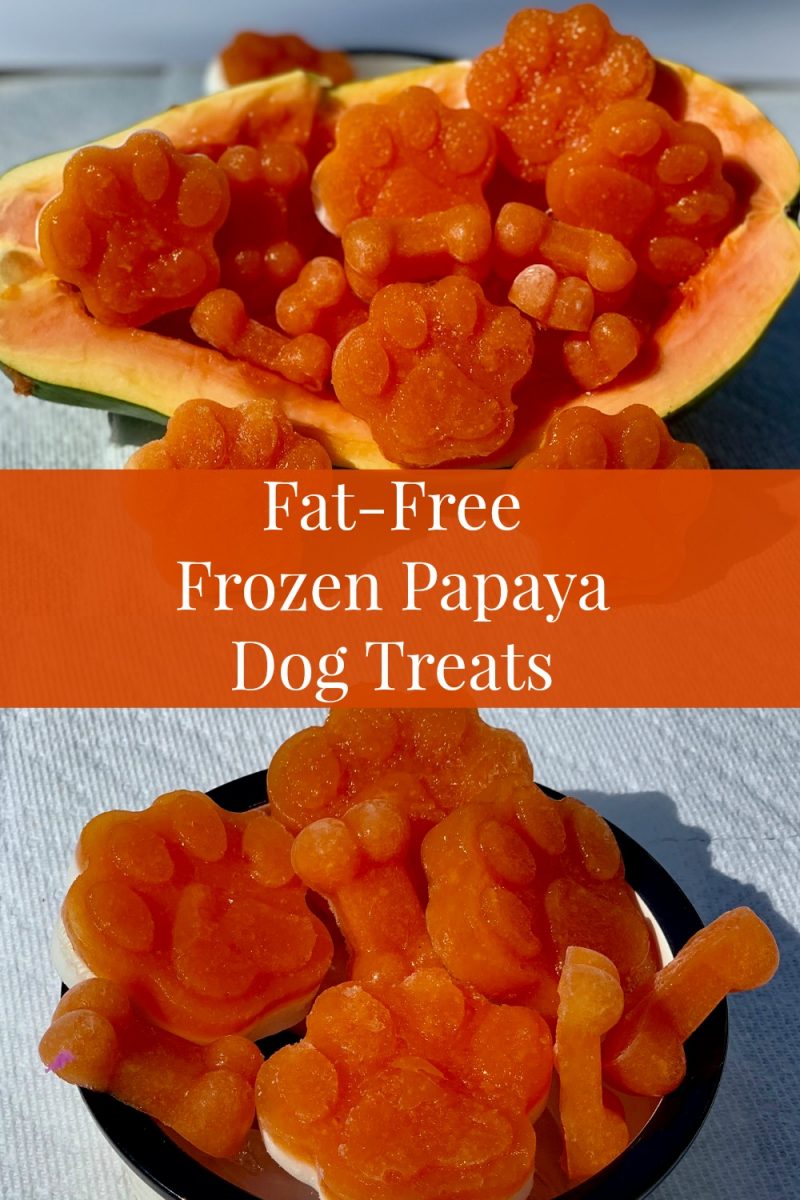 DIY Frozen Papaya Dog Treats My Brown Newfies