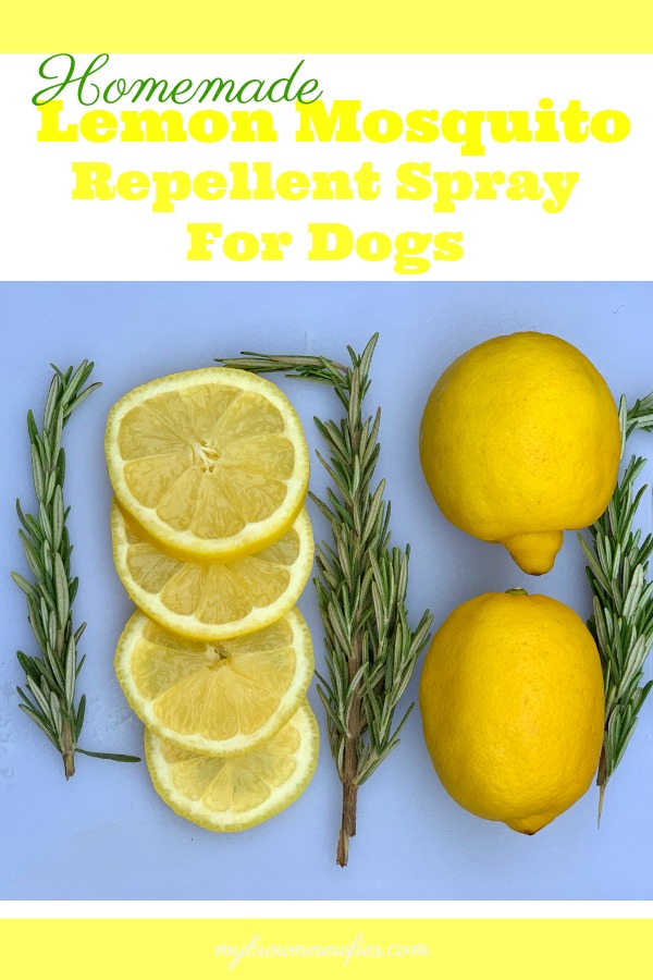make this easy DIY lemon mosquito spray to keep those peasky bugs away from your dog this summer