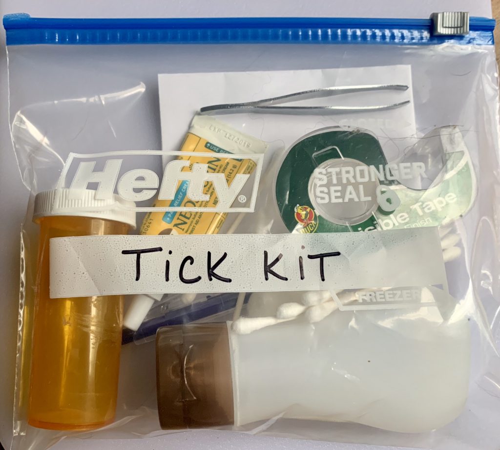make a DIY tick kit to remove ticks fast from your dog