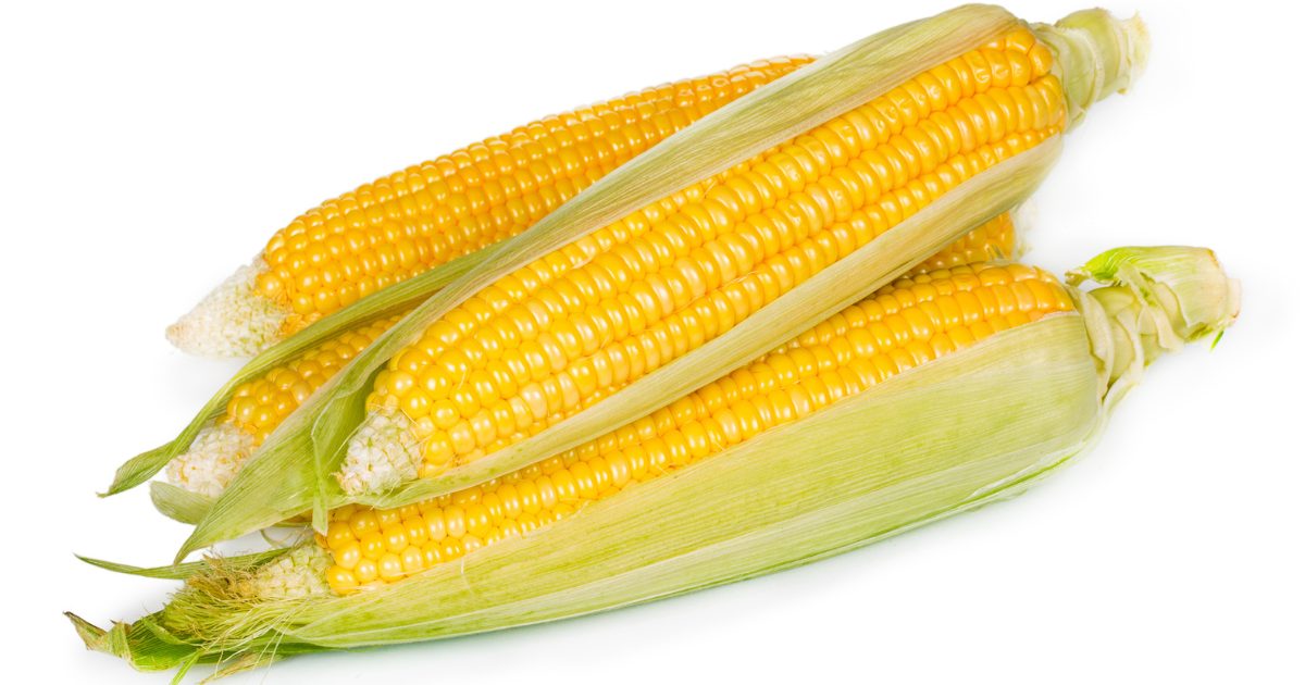 the scary dangers of dogs and corn cobs