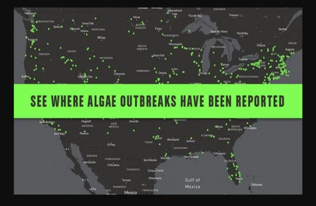 interactive map of reports of toxic algae blooms
