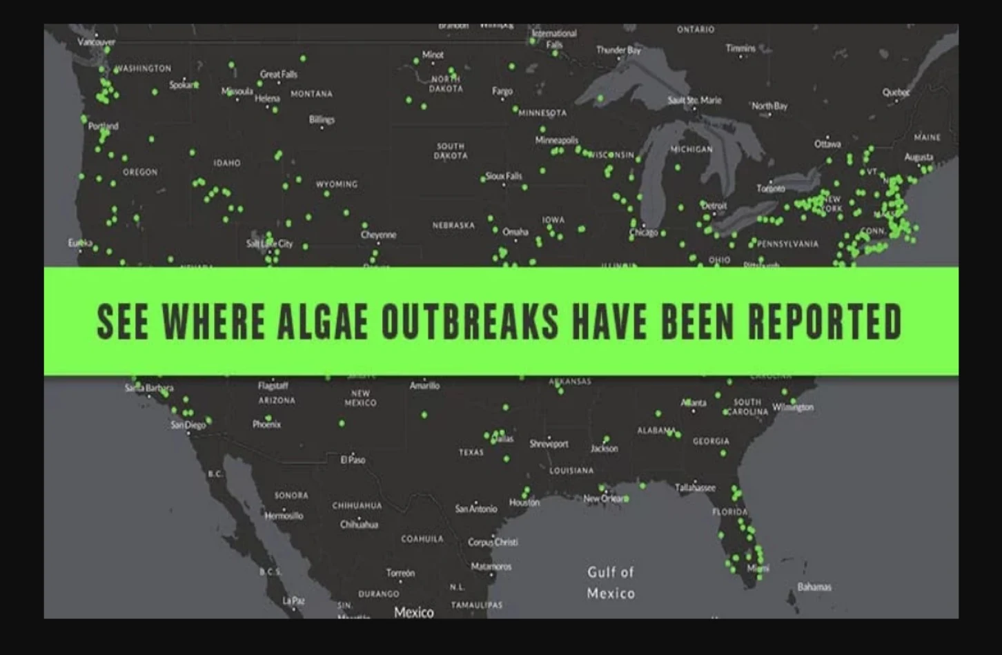interactive map of reports of toxic algae blooms