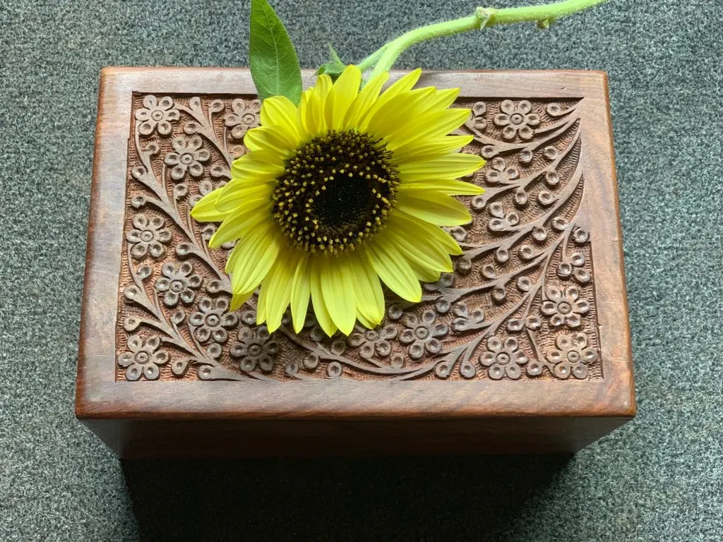 Dog cremation ashes in wooden box with sunflower