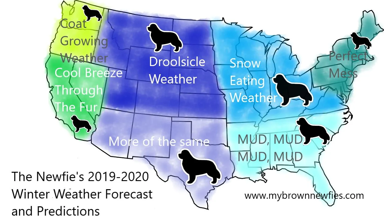 newfoundland winter map