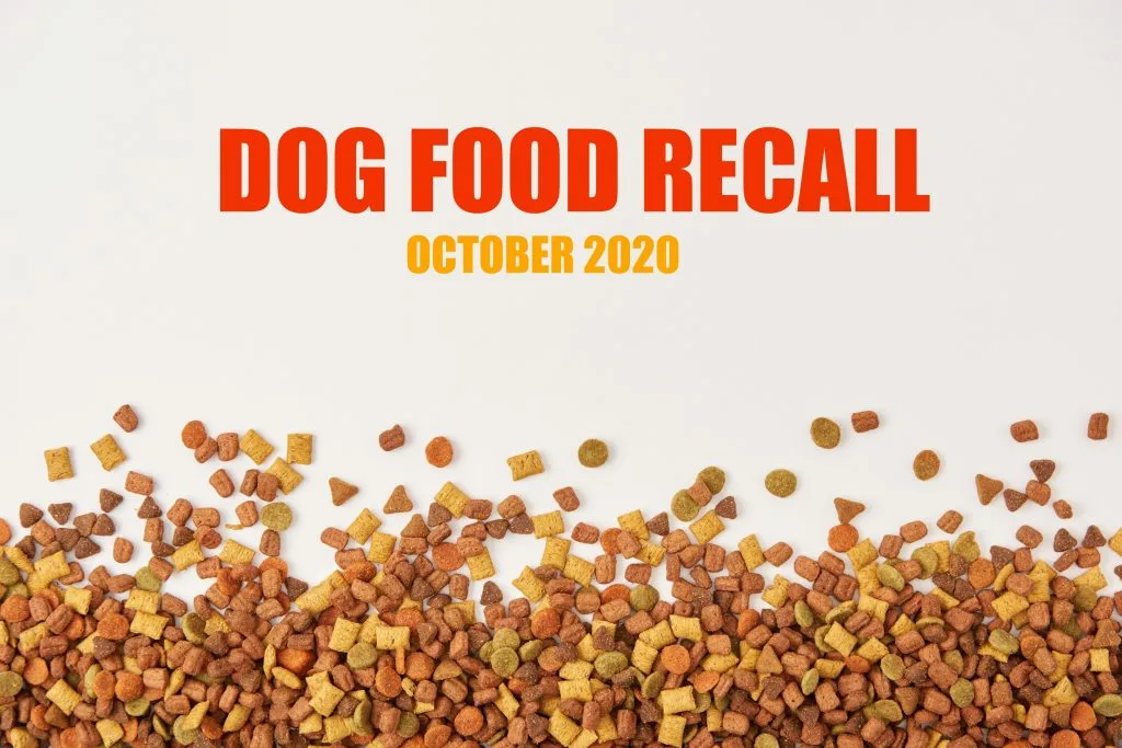 dog food recall 2020