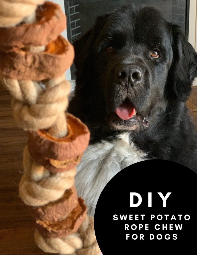 diy sweet potato rope chew for dogs