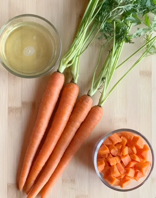carrots and chicken bone broth for frozen dog treats