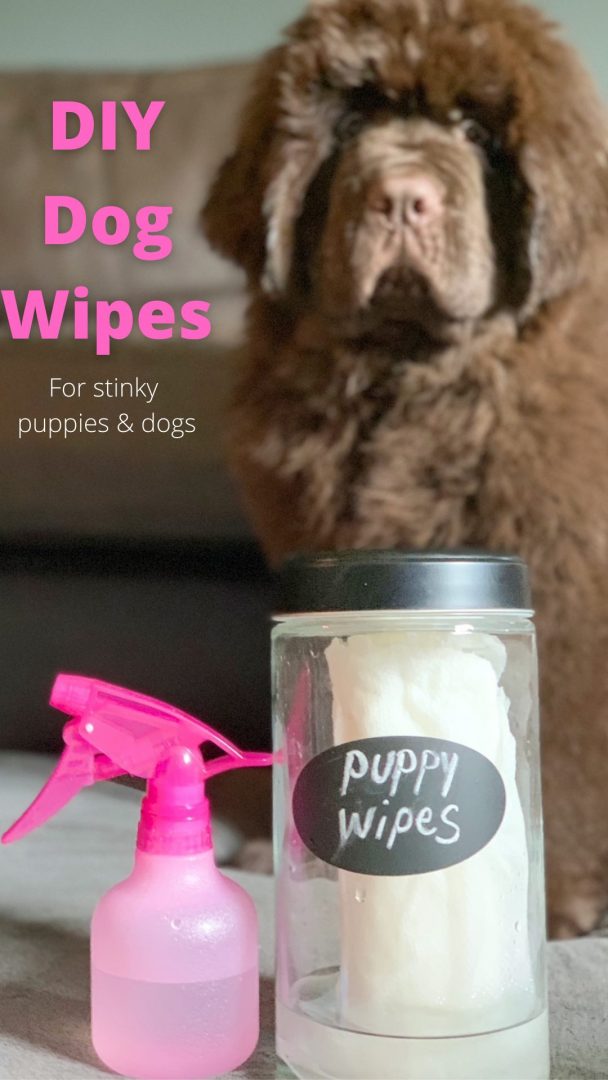 DIY Dog Wipes For Stinky Puppies And Dogs My Brown Newfies