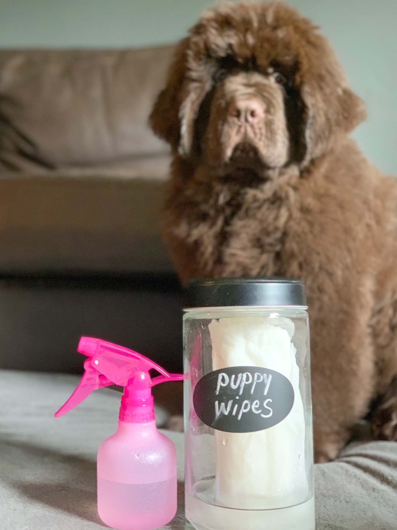DIY Dog Wipes For Stinky Puppies And Dogs My Brown Newfies