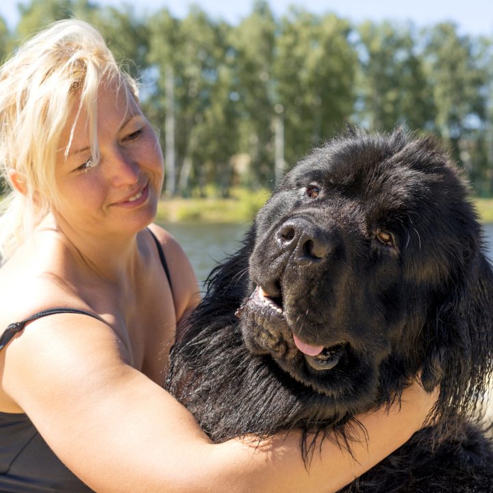 21 types of people that should not own a newfoundland