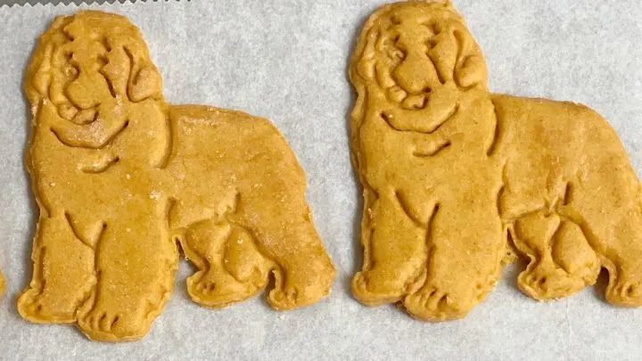 newfoundland dog cookie stamps