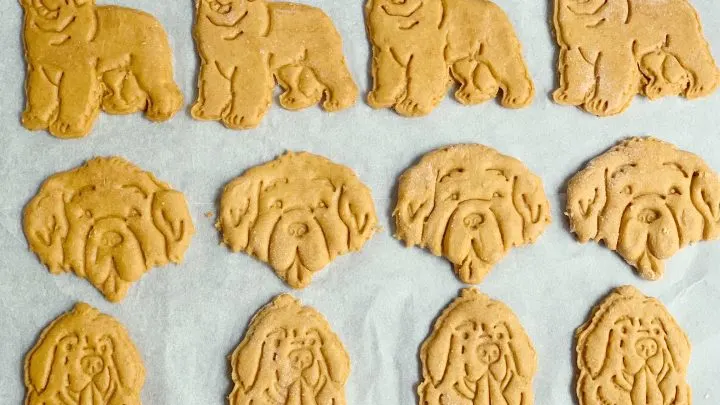 cute Newfoundland dog cookie cutters