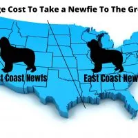 east and west coast newfoundlands