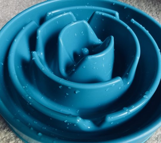 blue slow feeder bowl for big dogs