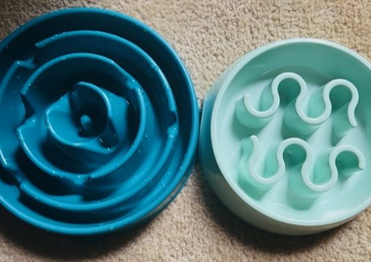 large and small blue slow feeder bowl for dog