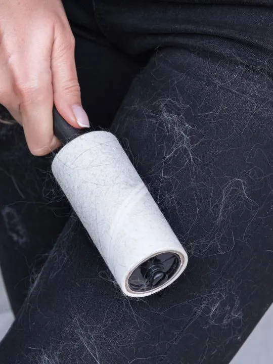 Woman cleans clothes with clothes roller, lint roller or sticky roller. Cleaning pets hair on the clothes. 