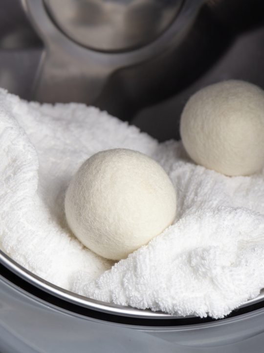 dryer balls help to remove dog hair from clothes