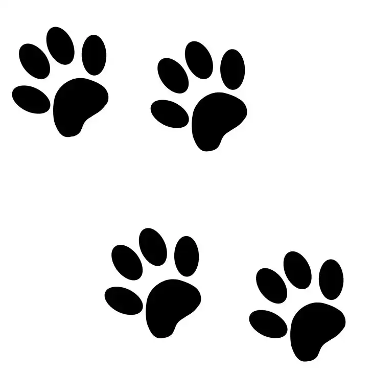 dog paw stencils for pumpkin carving