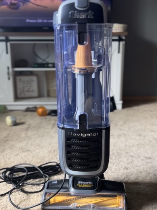 a pet vacuum cleaner is the most effective way to get dog hair out of your carpet