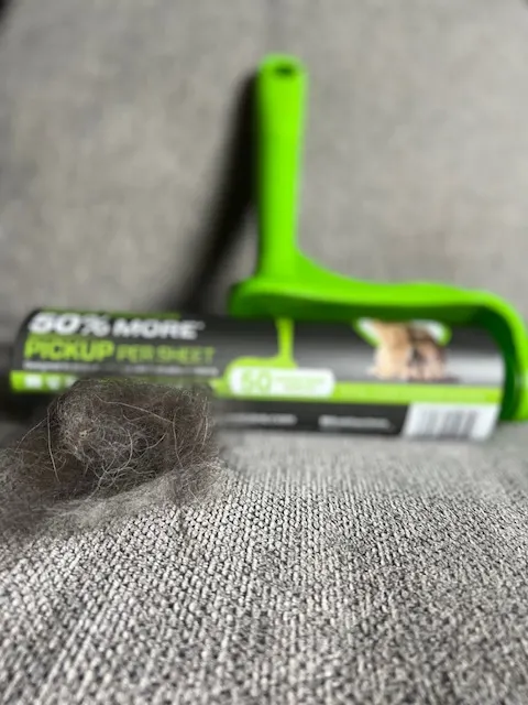lint roller used to remove dog hair from couch