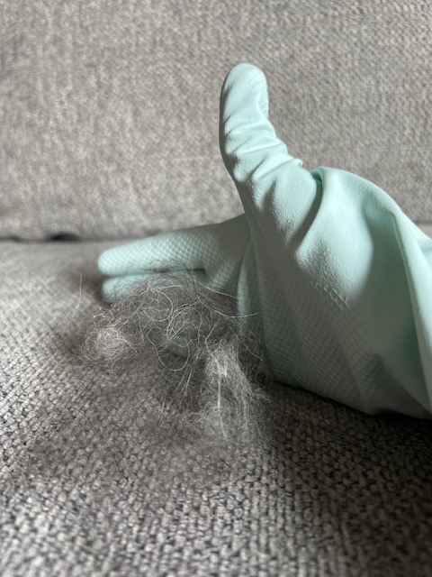 how to use rubber gloves to remove pet hair from your furniture
