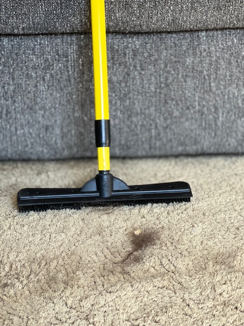 how to use a carpet rake for pet hair