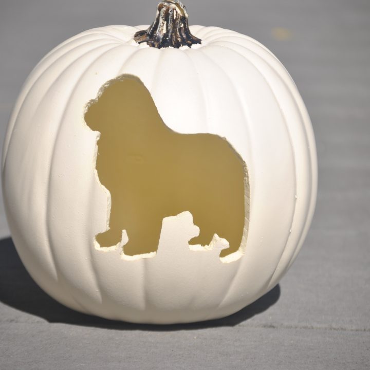 dog breed pumpkin carving