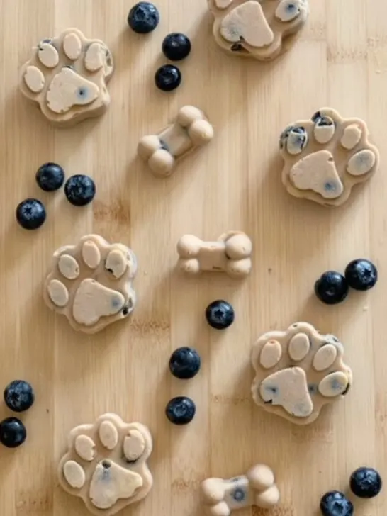 homemade frozen peanut butter and blueberry dog treats