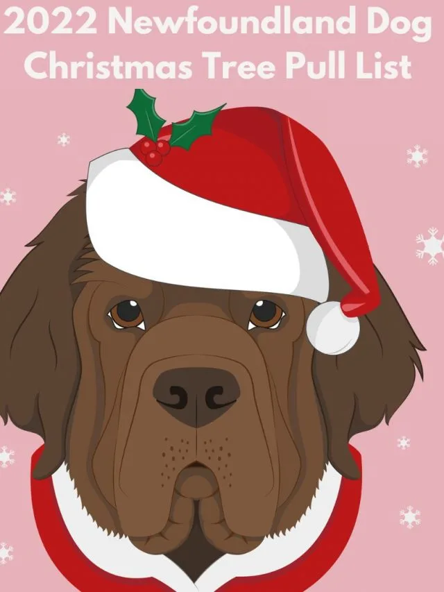 2022 Newfoundland Dog Christmas Tree Haul List