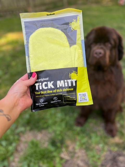 tick mitt to check dog for loose ticks
