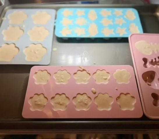 homemade salmon dog treats in dog silicone molds being stored in freezer