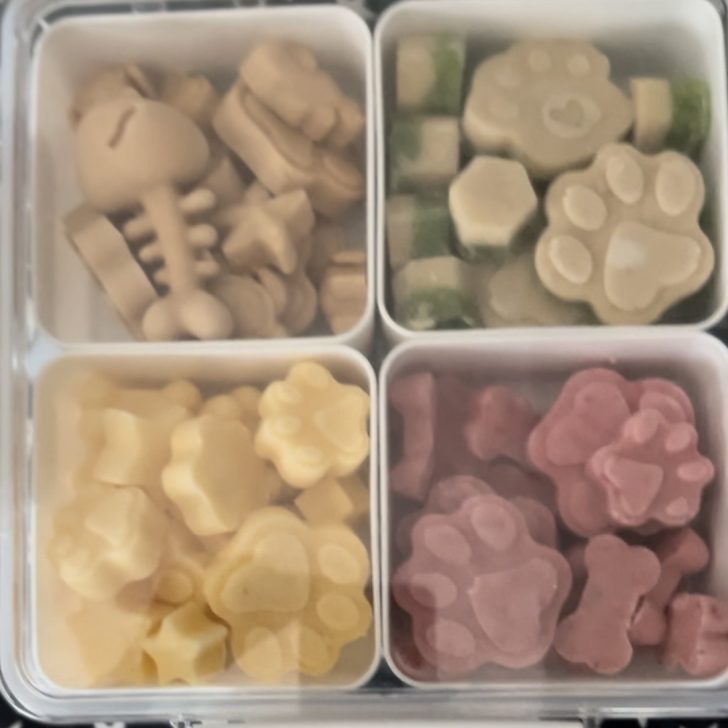 frozen dog treats in freezer storahe container with lid