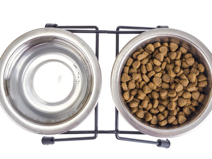 Set of metal bowls of water and dry pet food. 