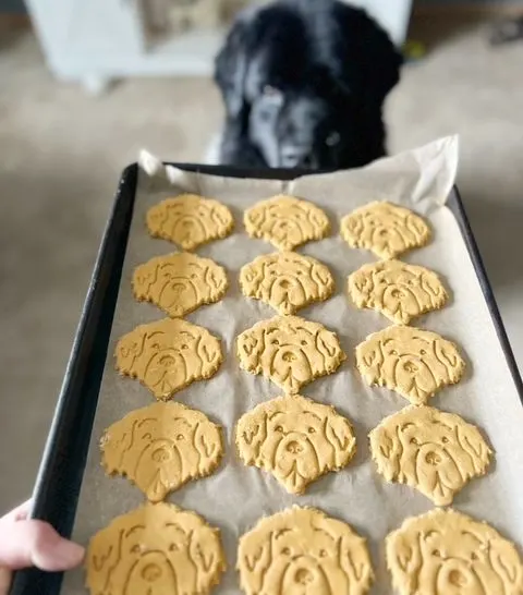 dog breed cookie cutters