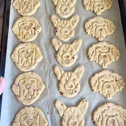 homemade dog treats on a parchment lined baking sheet