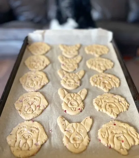 cute homemade dog treats on baking sheet