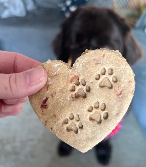 homemade heart-shaped dog treats