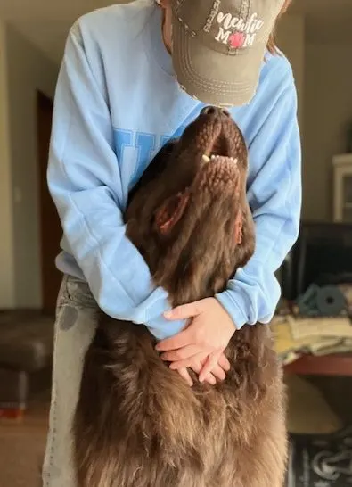 A Newfoundland's Guide To Getting Attention